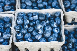 Super gesund: Blaubeeren aus der Region