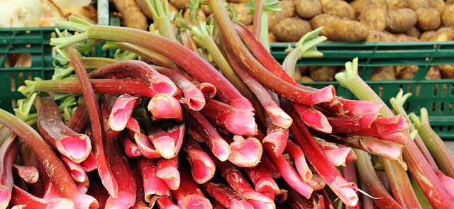 Frischen Rhabarber vom Markt gibt es von April bis Juni