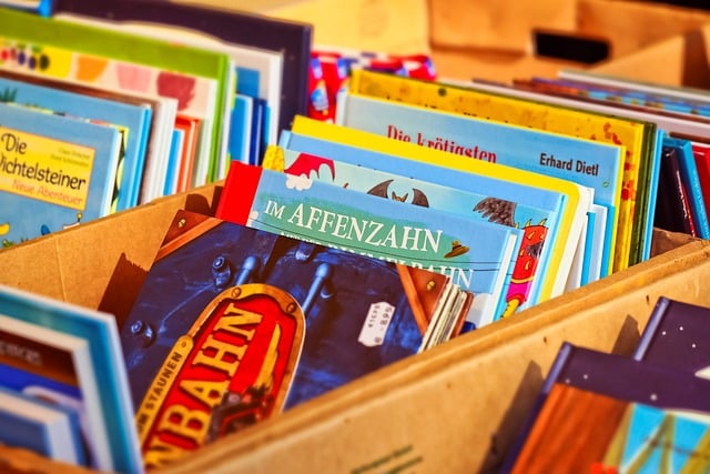Das Bild zeigt Bücher, die auf einem Flohmarkt in Wolfsburg gekauft werden können.