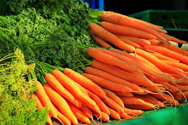 Das Bild zeigt Karotten und dient als Titelbild zum Thema "Frische Karotten vom Markt".