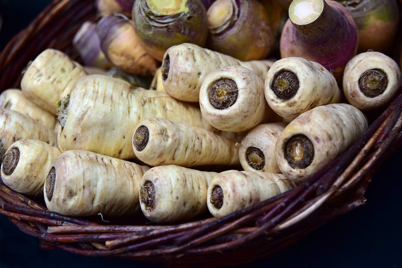 Das Bild zeigt Pastinaken und dient als Titelbild für das Thema "Vitamine, Ernte und Rezepte".