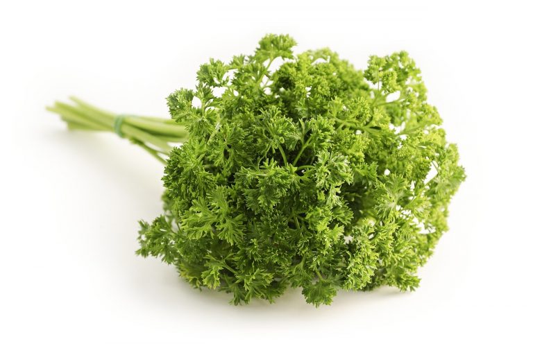 Das Bild zeigt Petersilie und dient als Titelbild für das Thema "Petersilie: Vitamine, Anbau, Ernte und Rezepte".