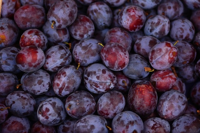 Das Bild zeigt Pflaumen und dient als Titelbild für das Thema "Pflaumen: Vitamine, Ernte und Rezepte".