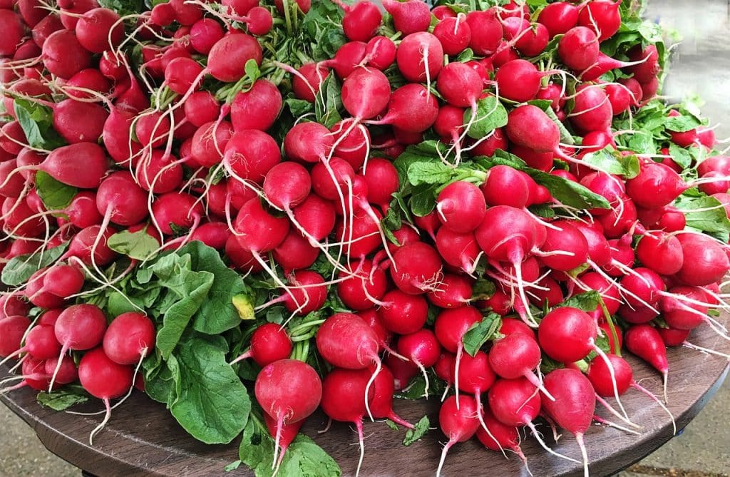 Das Bild zeigt Radieschen mit ihren Knollen und Blättern und dient als Titelbild für das Thema "Radieschen: gesundheitliche Vorteile, Ernte und Einkauf auf dem Wochenmarkt".