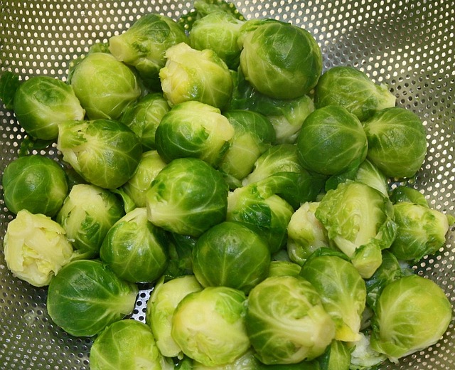 Das Bild zeigt frischen Rosenkohl und dient als Titelbild für das Thema "Rosenkohl: Vitamine, Ernte in Deutschland und Rezepte".