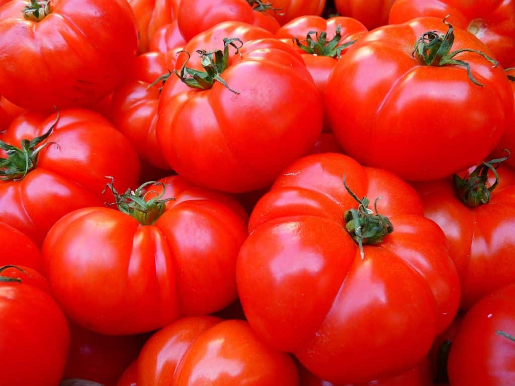 Das Bild zeigt Tomaten und dient als Titelbild für das Thema "Tomaten zur Saison frisch vom Wochenmarkt kaufen".