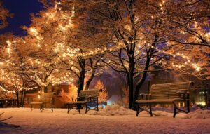 Das Bild zeigt beleuchtete Bäume, die auf dem Weihnachtsmarkt in Aachen für eine besondere Stimmung sorgen.